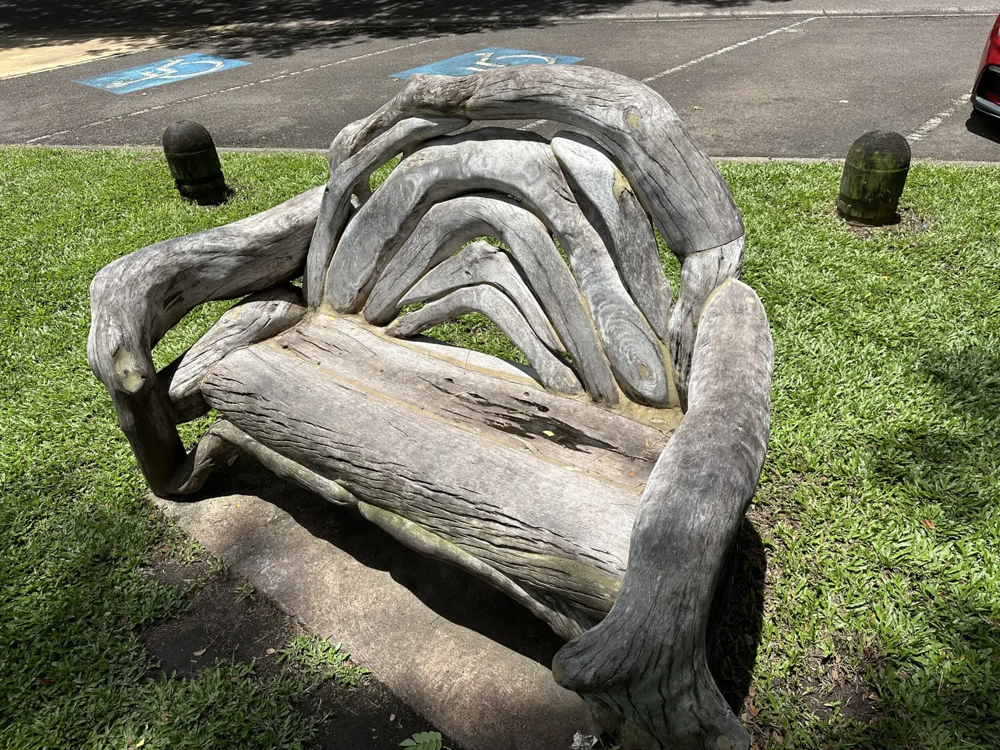 There are a dozen (more?) of these chairs through the park, creating beauty out of gnarled branches. Is there something in that for those of us with knots in the own stories — Australia.