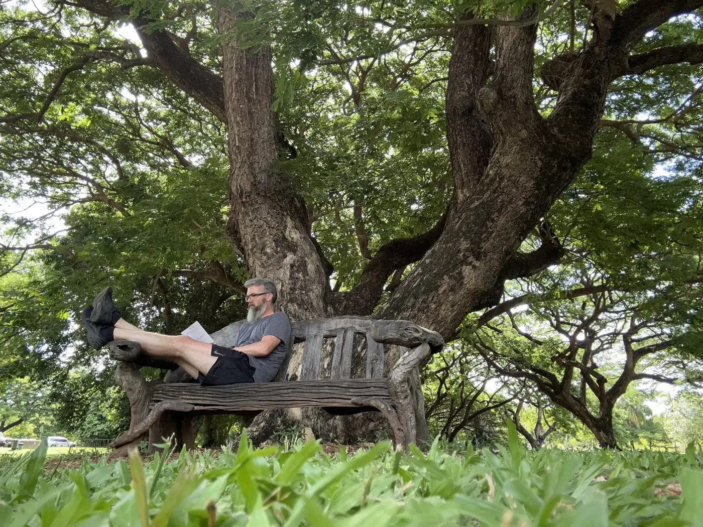 Reading “Chasing Francis” in the shade — Australia.