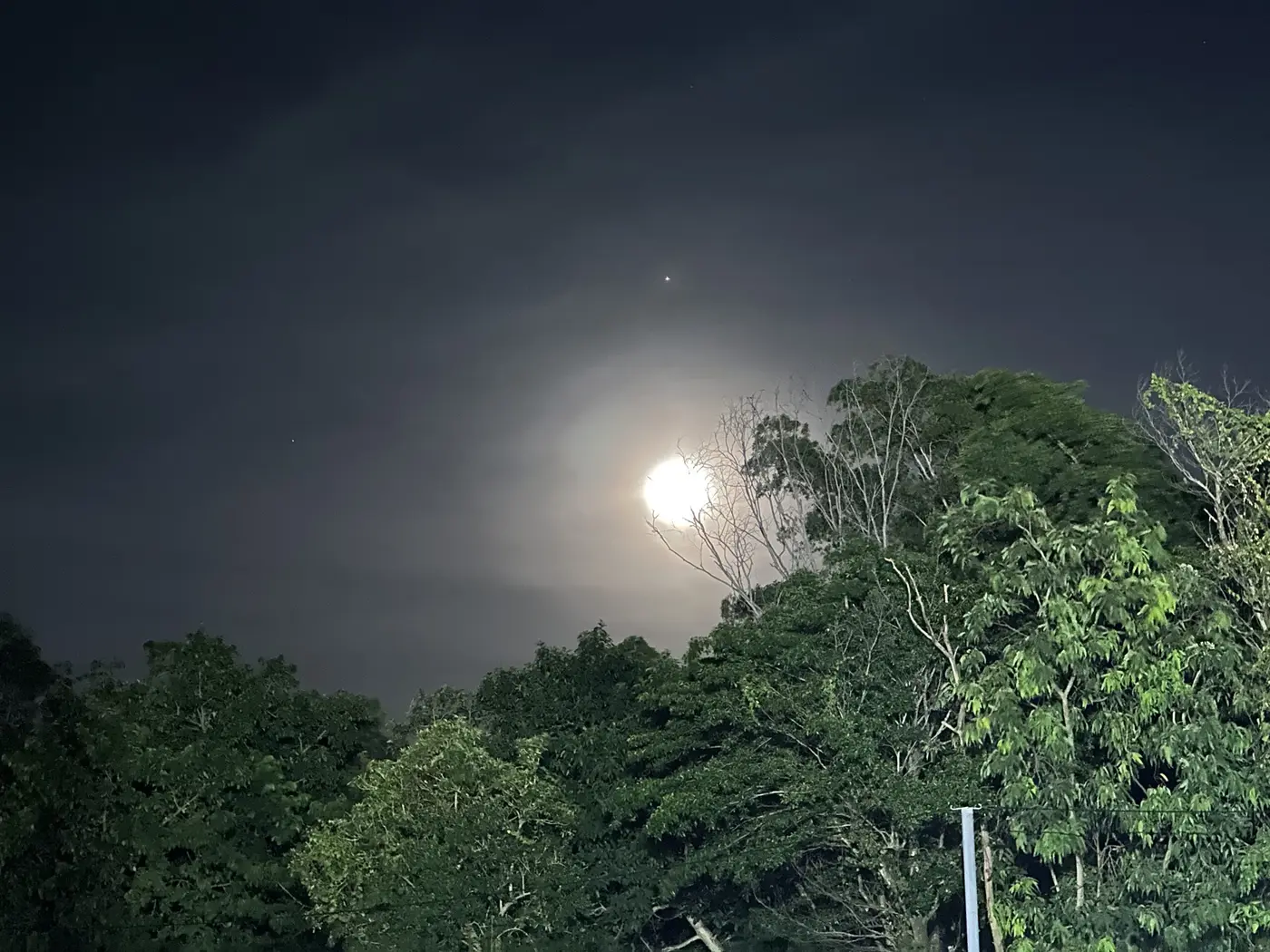 Amazing full moon these last few nights — Australia.