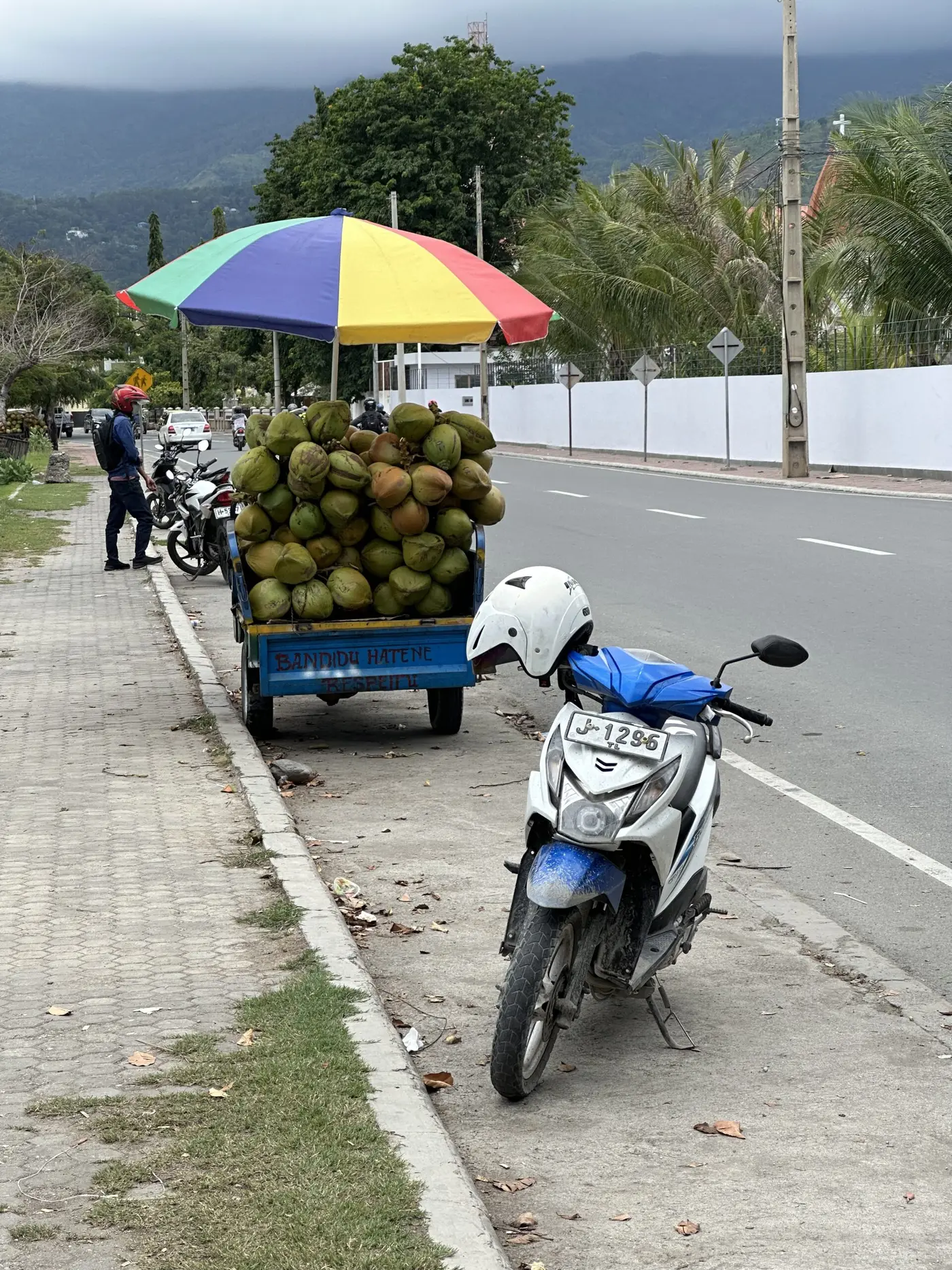 Coconuts for sale everywhere — Timor-Leste.