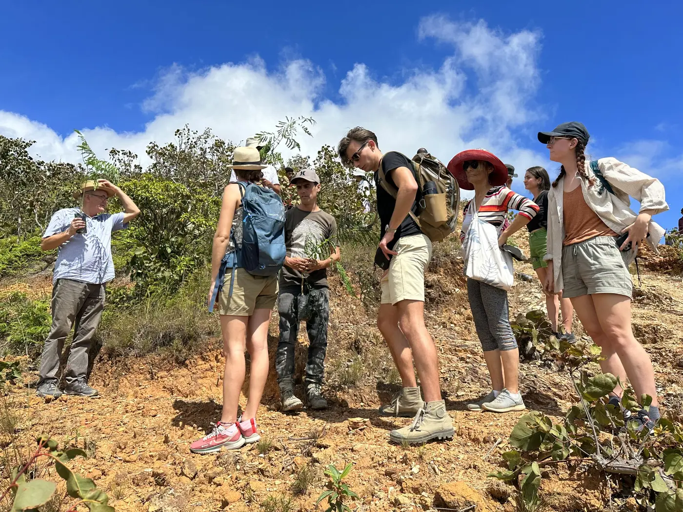 Pondering the guide’s input — Timor-Leste.