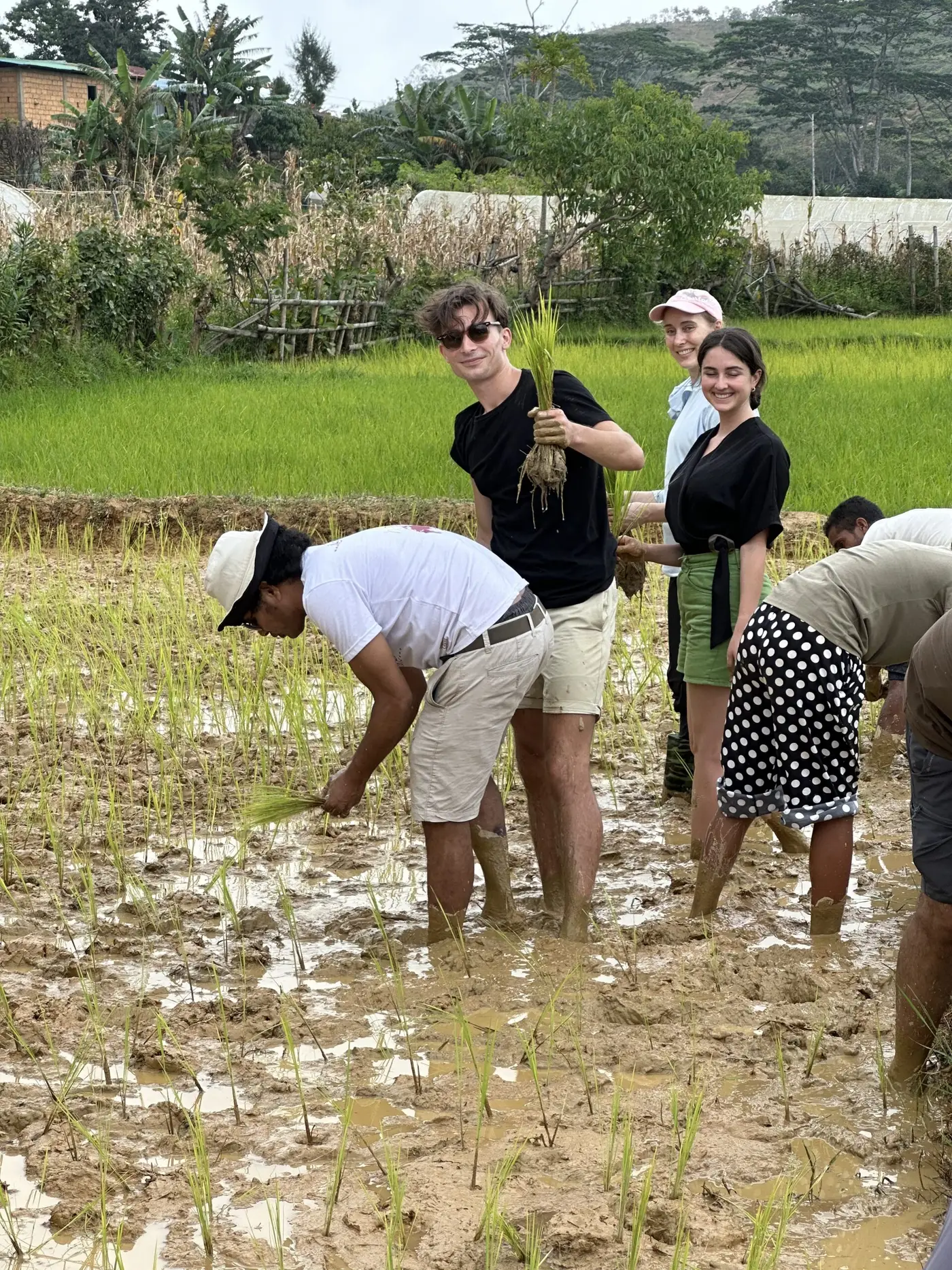 “Where should the traveller plant this one?” — Timor-Leste.