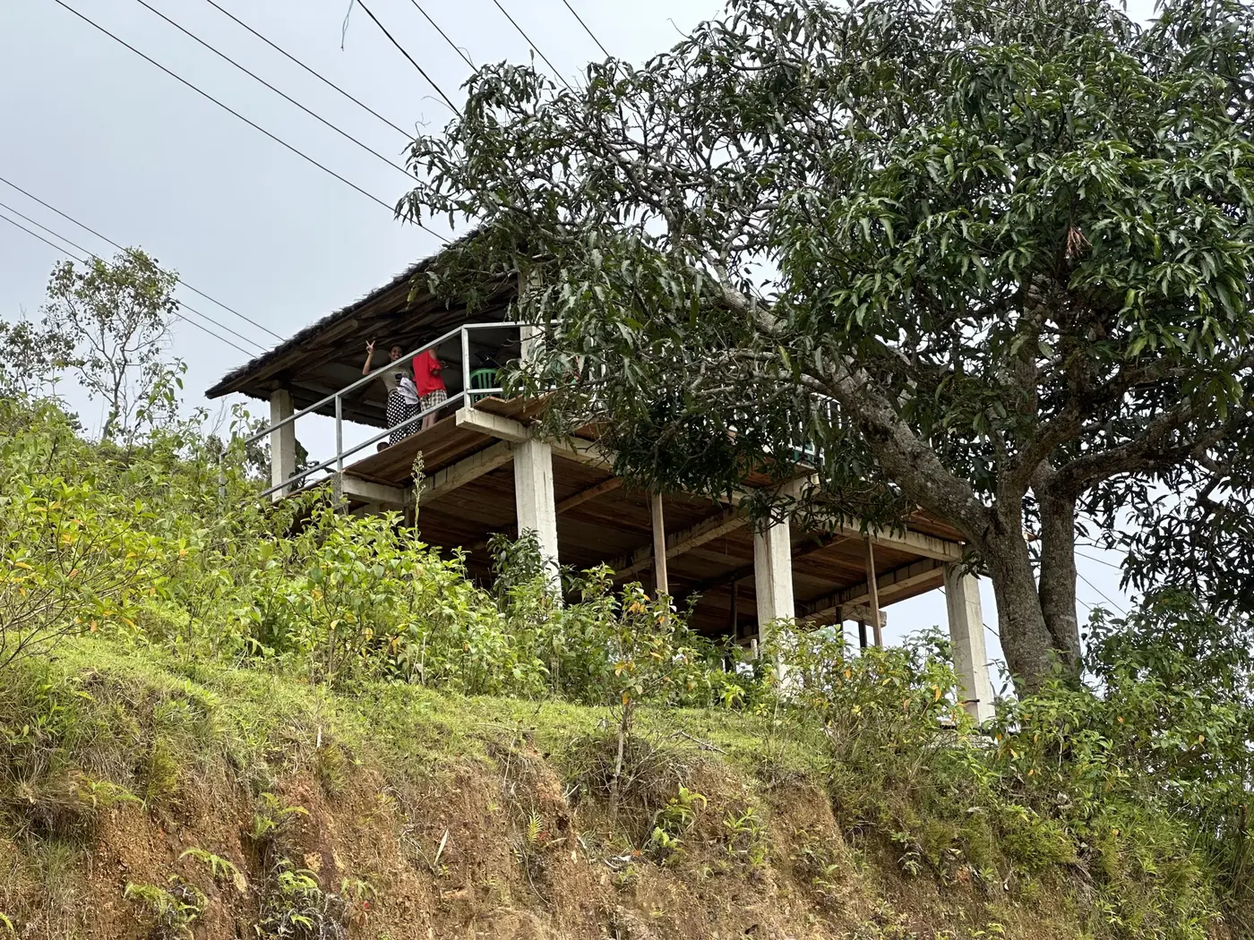 View of cafe on the way to rice fields — Timor-Leste.