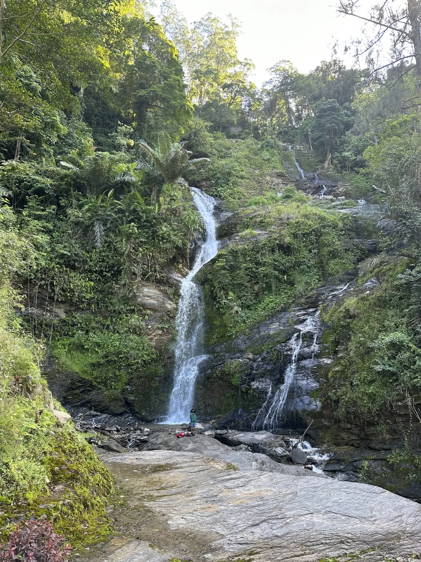 Rainy season always vibrant — Timor-Leste.