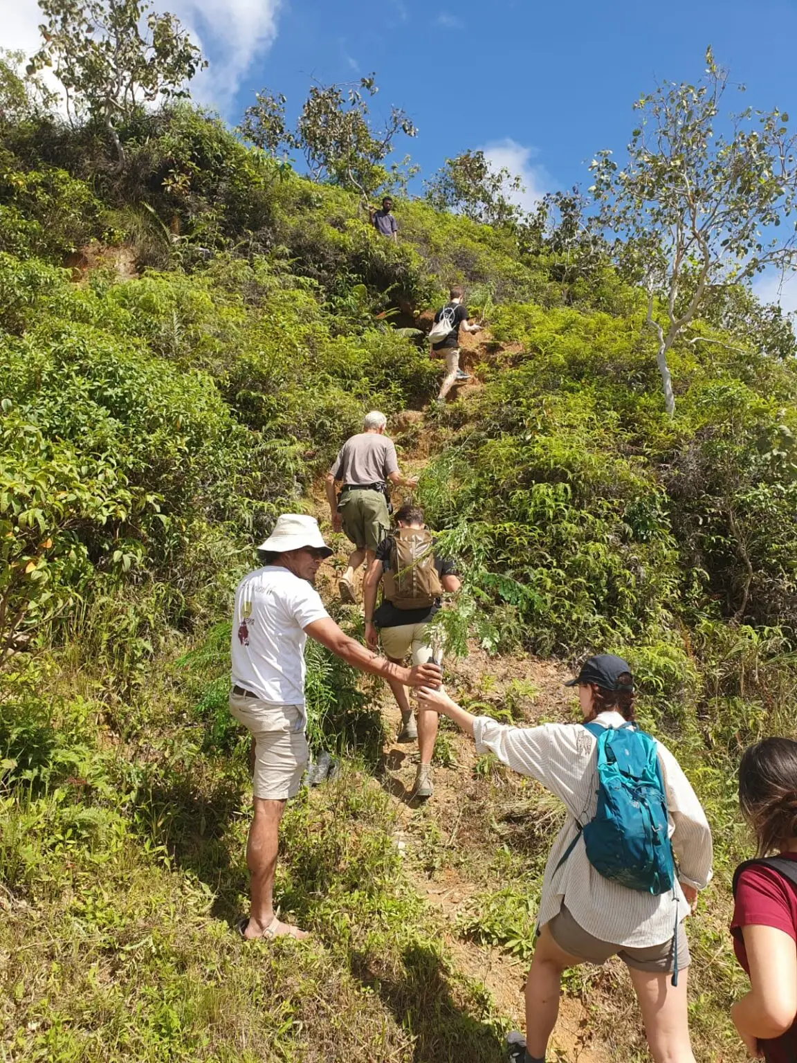Short, steep climb to tree planting — Timor-Leste.
