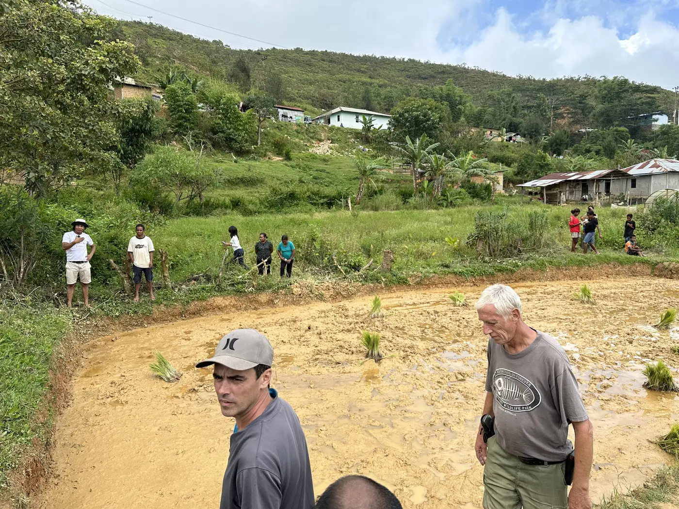 Field ready for malae workers — Timor-Leste.