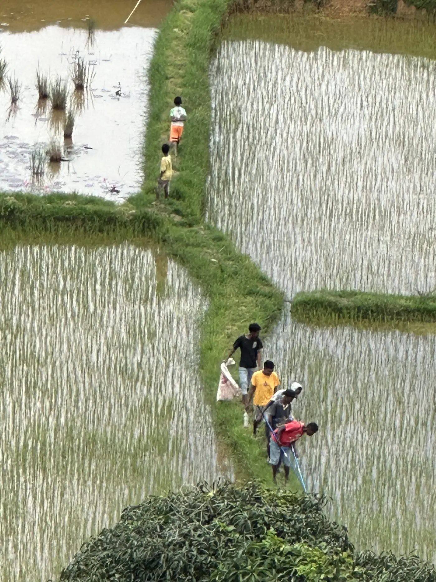 Locals who know what they’re doing — Timor-Leste.
