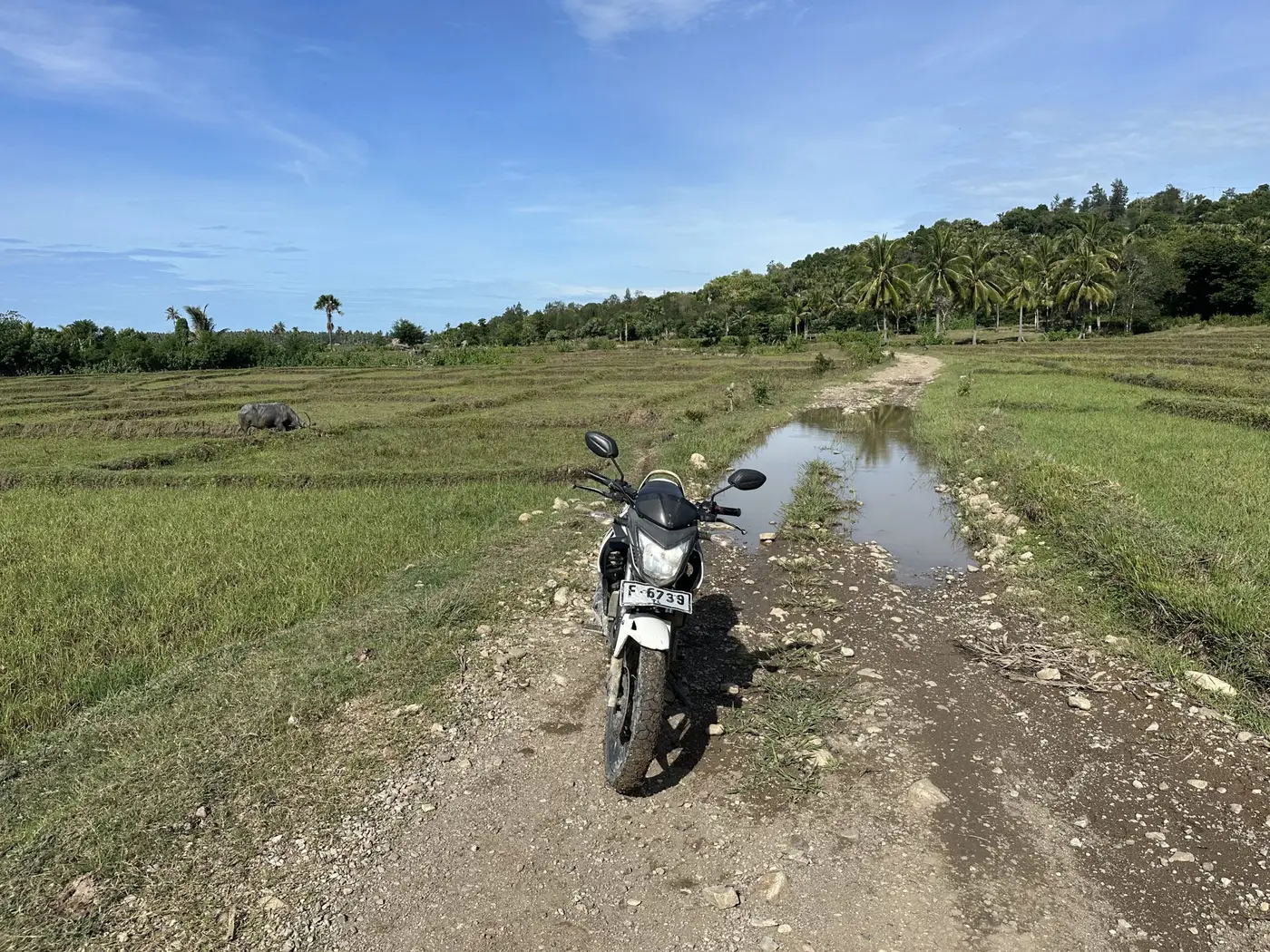 Timor-Leste – Eastern Loop Part II (video)