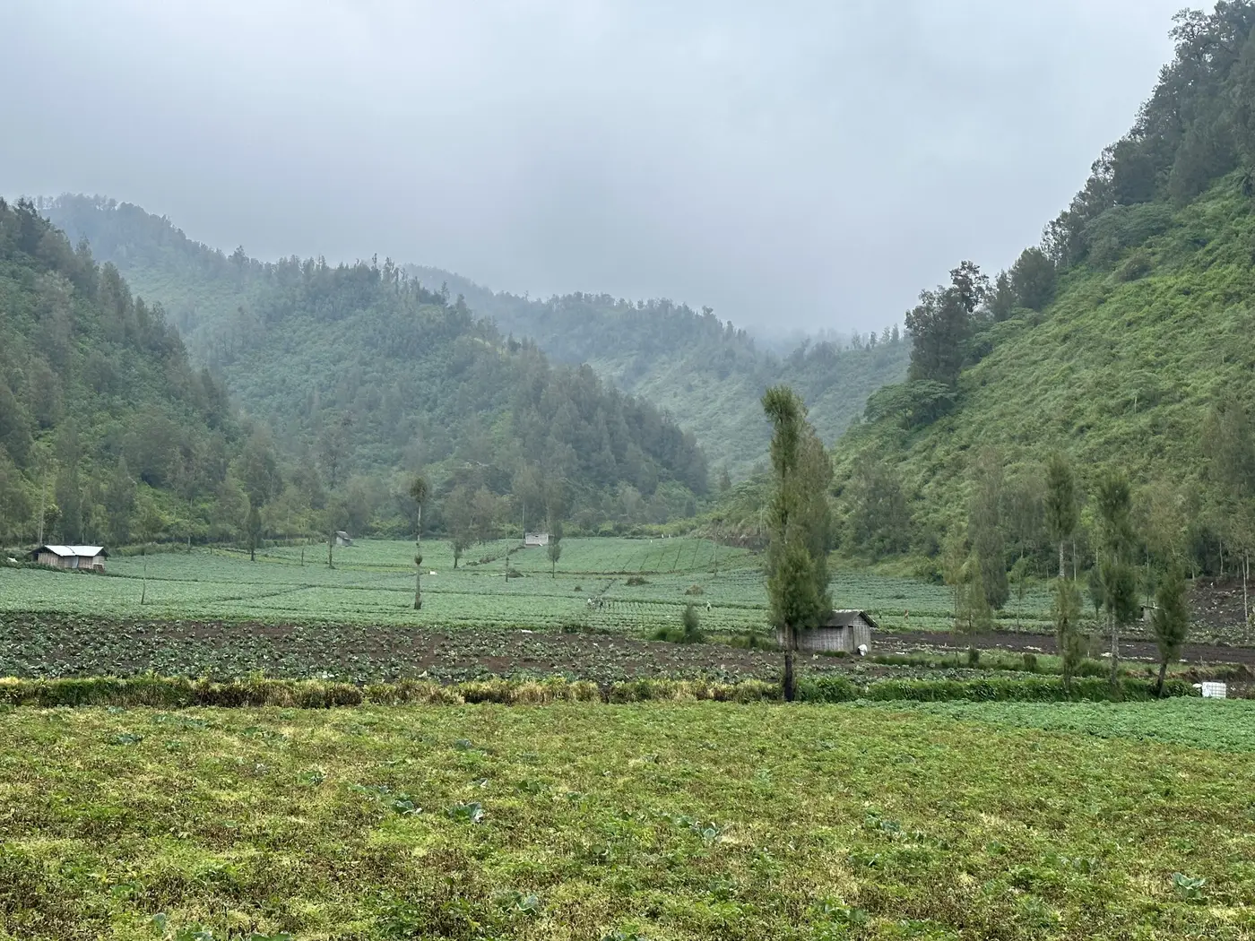 Almost got the bike stuck in these rice paddies — Indonesia.