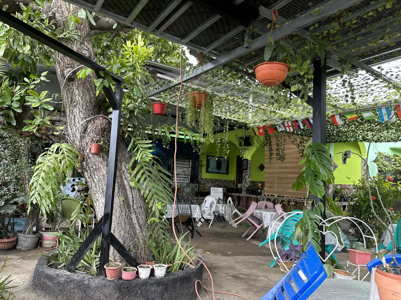 Lunch in a cute Baucau cafe — Timor-Leste.